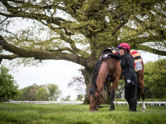 Making A Racehorse