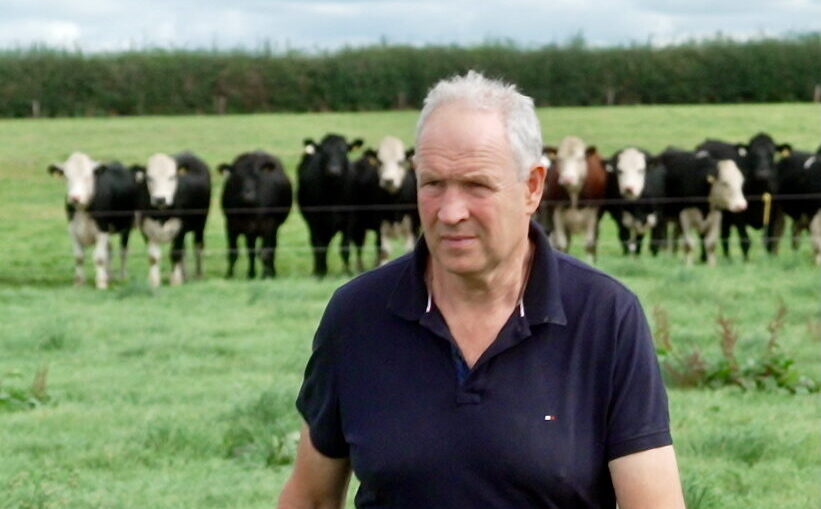 Shane Purcell - Livestock Safety - SW2025 (12)