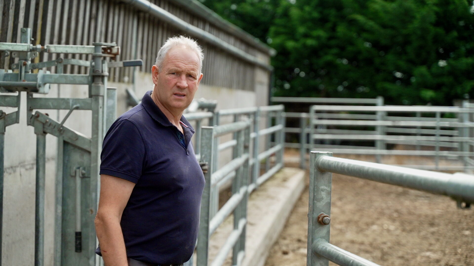 Shane Purcell - Livestock Safety - SW2025 (8)