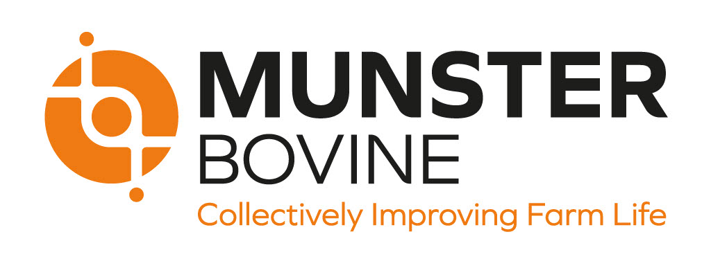 Munster Bovine - Nov 5, 2025