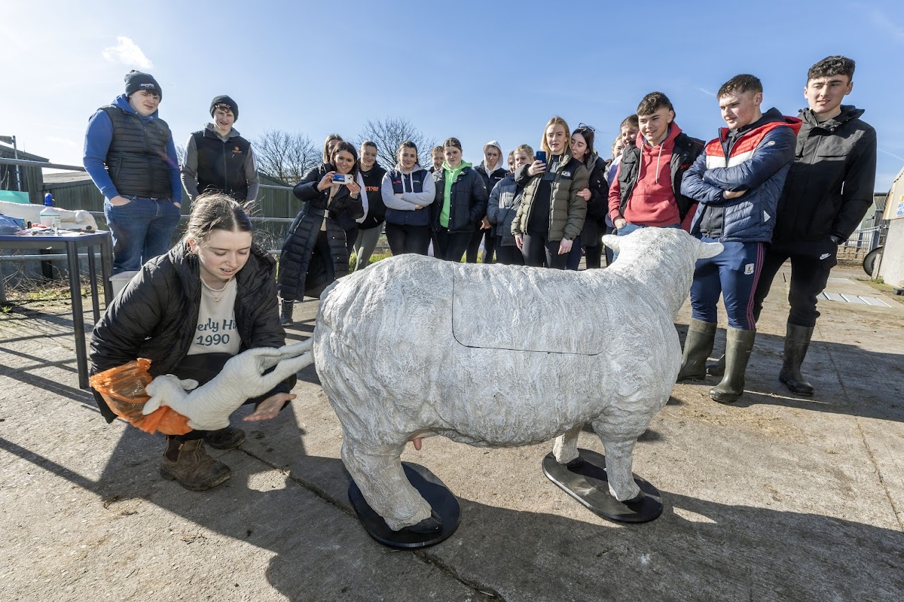 28/2/25
Kate Kelly 6th class from St Cuans Ballinasloe Co Galway shows her class mates how to deliver a lamb, at the Agri Aware’s Farm Walk & Talk at Salesian Agricultural College in Co. Limerick which welcomed over 340 secondary school agriculture science students.
Picture:  Finbarr O'Rourke
NO FEE