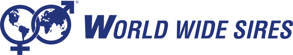 WWS logo + name blue IRELAND